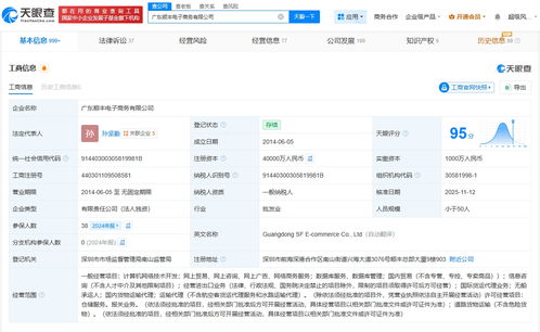 廣東順豐電子商務公司完成大幅增資，注冊資本躍升至4億元，發力國內貿易代理業務